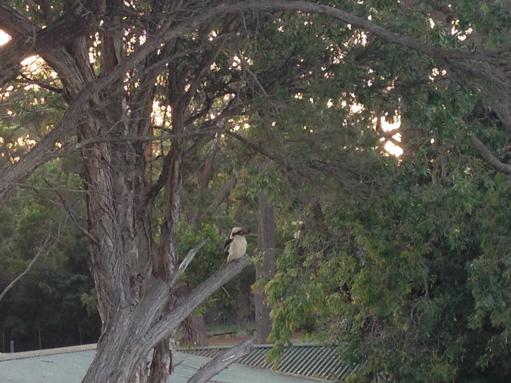 Jervis Bay Mariners Motel Huskisson Luaran gambar